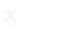 McDonald Arabians | Scottsdale Arabian Horses